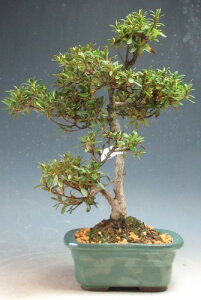 ~́@ԉtIHiTcLj~́iu) yiz2026tJԗ\