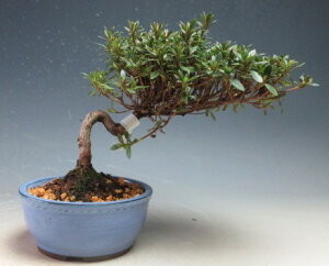 ~́@ԉtIHiTcLj~́iu) yiz2026tJԗ\