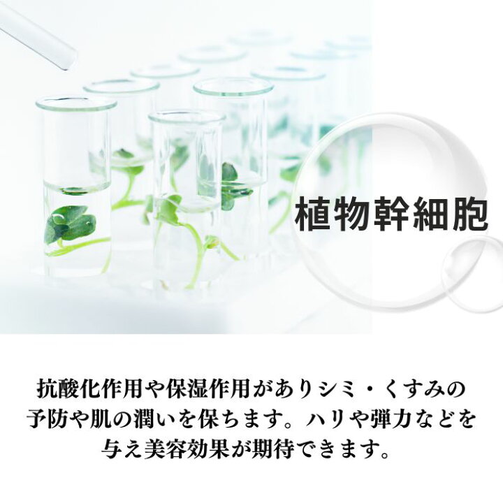 楽天市場】送料無料！【LBクリーム】30g ベルリッチ化粧品 クリーム 