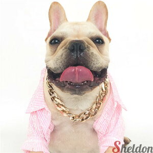 ybg ANZT[  lbNX `F[  plbNX pANZT[  S[h Vo[ vX`bNf y SɂȂȂ  ʔ ^ ^