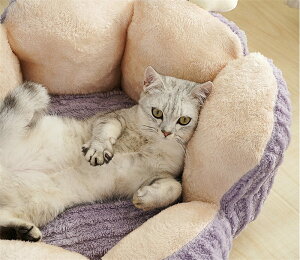 ybgxbh ybgnEX h[nEX T{ě`  L lR t H ~ L̑ ̑ ybg\t@ ی^ Ԍ^  h[^ Q  ӂӂ  g h h 