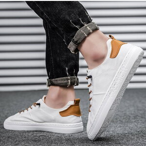 Xj[J[ LoXXj[J[ [t@[ W[ YbNC LoX ₷ Vv ʊw ʋ JWA jp [Jbg  *