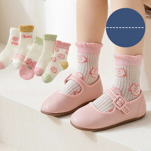 5Zbg LbY \bNX C ԕ 킢 ˂ Rbg u[N[\bNX ԃ^Cc jp  ʉ w ʊw w 