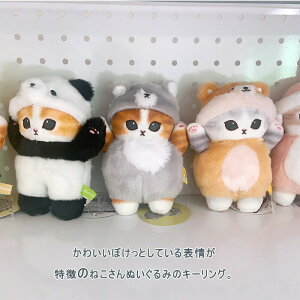 L[O L[z_[ `[ ʂ obOANZT[ ˂ p_  Ƃ T xA  a j wj v[g Mtg  킢 lC }XRbg A