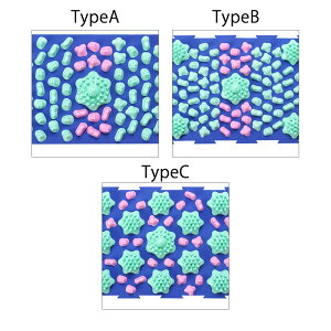  }bg c{}bg ڃ}bg ̂ނ ₦  ˋN  }bT[W hS}bg N}bg @  }bg c{}bg ڃ}bg ̂ނ ₦   