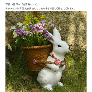 ԕr t[x[X e   ԓ G Ԋ 킢 fUC CeA ^ zCg hCt[  fBXvC V i` 