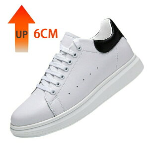 V[NbgV[Y Y fB[X Xj[J[ t  H V[NbgXj[J[ Xj[J[ 6cm/8cmUP gAbv 6cm/8cmAbv gup Cq[ wȂC y  V[Y 