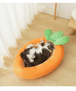 ybgxbh xbg q ~p g  L xbh lQ^ ybgNbV ɂ񂶂^ ӂӂ ybgnEX lGp g pxbh lRxbh  킢 xbh ^/