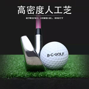 St}bg ^ St K }bg fU 100×150cm hCo[ XCO p^[ SBR K  O lH Pi ^