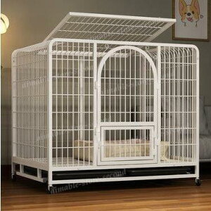 ybgP[W B  P[W ybgT[N hbOP[W ybgtFX ^ ^ ^p ybgpi LX^[t