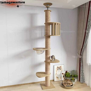 Lbg^[ ؐ ̎ L^[   ܂Ƃ  ^L FD 萫Q LnEX lR Lp