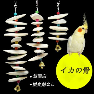 Jg{[ CR  CJ̍  IE ނ ݂艺 JVE̕⋋   ZLZCCR IJCR