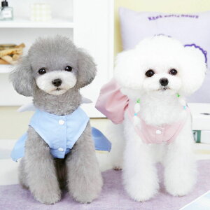 ybg  s[X XJ[g Pl  Vg̉H Ȃ hX ̕ TVc tėp _炩 Ȑ ybgEFA hbOEFA Lm lC t@bV ^ ^ L 