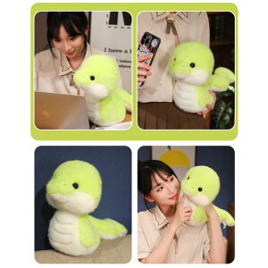 ւ  킢 ʂ N ߘa7N  40cm ʂ wr 2025N ւ VN N x  wr̐Ԃ o^Cf[ qǂ a v[g