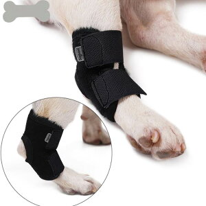  p ֐߃veN^[ V[gT|[^[ G T|[^[ ֐ߕی p  ybgppi ܎Á@V pi VjA I  r I V V ppi