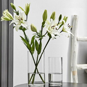 t[x[X 20cm Ԋ KXx[X ԕr KX ԕr ~ } } 30cm t[x[X Vv ~ NA KXԕr 傫  L O  k CeAG 25cm 