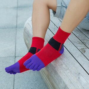 5{w\bNX X|[c\bNX Y ܖ{w N[\bNX  ʋC V[g\bNX X|[c \bNX C 5{w 24.5cm`27cm C TbJ[ K tBbglX hL X|[c K