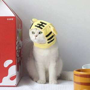 xԂX g^CK[ g Xq ^ ^ ^p x Ԃ Lp  Xq 蕨 RX`[ x  Ƃ g  RXv ϐg  ʐ^ N