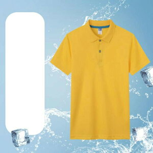 |Vc  |Vc Y rWlX poloVc  StEFA StVc n l z  X|[c ĕ St ʋ d˒R[f  JbRCC