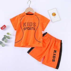 V[gpc LbY X|[cEFA WjA WjA ̎q _X  j̎q z W[W g[jOEFA jOEFA q qǂ c xr[ tVc ^