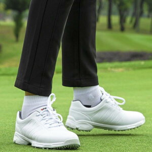 C hS V[Y C StV[Y jp K am ɂ ~ y o[\[ fB[X o[\[ V[Y C \tgXpCN C ʋC V[Y h 