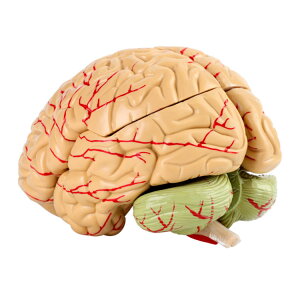 W wK \ ׋ w S8p[cO\  ] ]f f ]݂ ͌^ ] wK ]͌^ U dg l̖͌^  fʐ} } t w _ow eXg ]U͌^