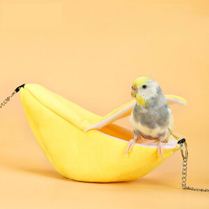 2 BƐeg oiinEX ̃nbN gXCOnMO\tg ̒gxbh nX^[Ԃ牺nEXP[W nMOnX^[xbh oii