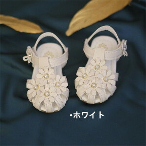 yꕔ[zyN[|zzzxr[T_ ̎q T_ xr[C   Ԃ LbY t }WbNe[v t[ E₷ Ԃ C ܐی xr[