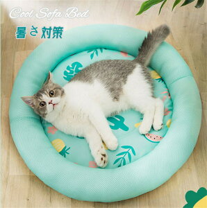 ybgxbh N[ ~`  Ђ ڐG⊴ ybgpNbV LpӂƂ Lpxbh ԂƂ ~zc p Lp ЂT}[xbh Q 킢 lGKp  Q