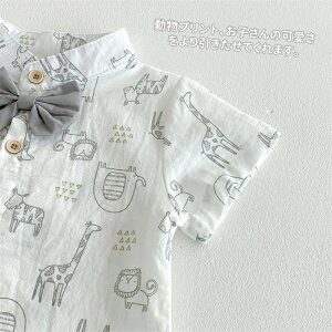 xr[ ZbgAbv X[c Vc j̎q tH[} xr[  lN^Ct n[tpc LbY X[c ㉺Zbg V[gpc  j c am qǂ Ԃ