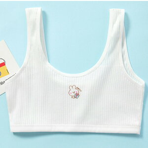 2_Zbg WjAu  ̎q Rbg qp   ̎q WjA G肪ǂ ʋC  C n