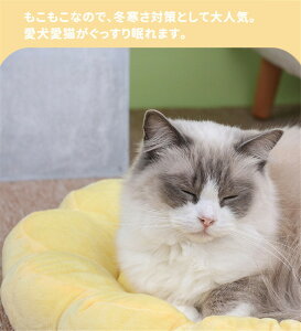 ybgxbh  L xbh ybgpNbV NbV }bg Lp ybg}bg ԂƂ ~zc p Lp I[V[Y Q ӂӂ g ʋC t[^  Q 