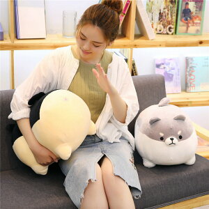 ʂ NbV  YQ CeA 50cm q   Č    킢 ޏ ӂӂŖ _炩 Sn ܂ v[g kz339z