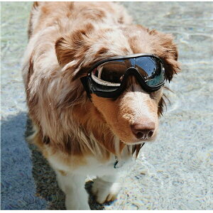 pS[O ybgpi TOX ho zR ybgS[O UObc ybgpop ʐ^ Be  h~ U \ h h Kl RX`[ ubN