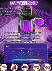 dEy2025NĐVfzdC dE ߒ E/[hCg/LEDƖ3in1 360°͉Ꮬ RoG  e USB[d É ȃGl ܕsp ŖQ IPX5