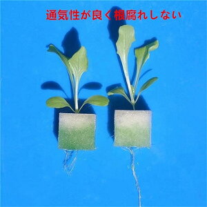 K[fjOX|W k͔| A̓X|W  ؐA lbgbV X|W 25*25* .5cm