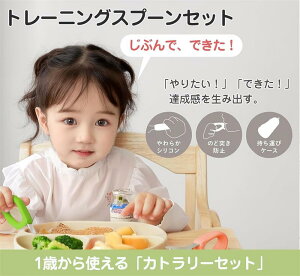 Ԃ Xv[ tH[N Zbg ₷ւ\ ? H Xv[ q Xv[ Kp xr[ Jg[ 316XeX S݌v P[Xt