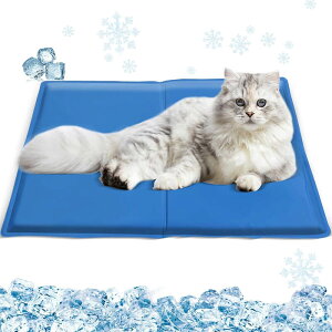 ybg}bg ̉ėp}bg ybg⊴}bg L  lpЂ}bg ybgpЂ}bg p}bg ⊴WF}bg pr ܂߂}bg M ΍ ėp ⊴~