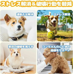    {[ 3  ̂ p ނ q ybg mߋ S E-TPUf ^`^   Ȃ e͐ 􂦂 V ^s XgX