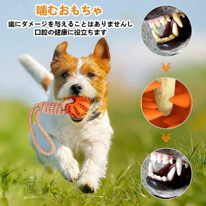   lC  {[ [v XgX v ϋv   Ђς ߋ ^ ^ ^