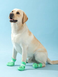 pCu[c Sh 4PCS ybgCV[Y ~  E₷ TCY߉\ V pC hbOV[Y ̂U hbOu[c _炩 y ی ^