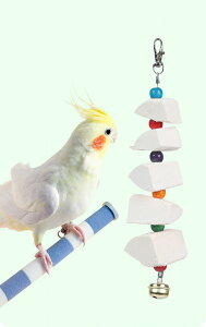 CR  CJ̍  IE ނ ݂艺 JVE̕⋋   ZLZCCR IJCR