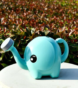 q傤 K[fXvN[ 傤 A K[fjOPgc[ A傤 傤 Ԃ傤 Ⴖ傤 ₩