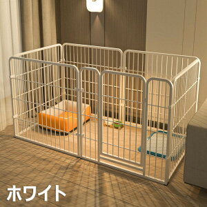 y6%OFFN[|zybgT[N  ybgtFX T[NP[W hAt  O u   P[W ^ ZbghAt 6 ڑ ȒPgݗ Hsv ܂肽 p L