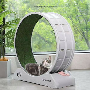 LbgzC[ L 񂵎 bNu ÉmCY Lp[i[ L jOzC[ LbgEH[N ^s XgX LbgjO}V ^Lp 