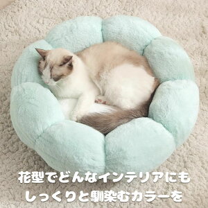 y zybgnEX ی^ Ԍ^ ybgxbh xbh Lxbh n nEX lRxbh N[V ӂ 􂦂 pxbh Lpxbh LnEX NbV ^ ^ ʔN a 40cm 55