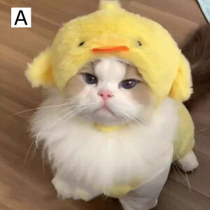 y zybg nbg Lp p Xq ybg  lC  킢 EGA ybg ^L ^  L  ڂ Be NNn  ꂢ Ղ CI ETM Aq N} 