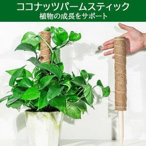 y z3{Zbg RRXeBbN Xe x RRibc  |x |gX Ax K[f  Ԃ A  ؐ RRibcx x K[fjOpx ϗtx 