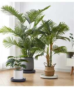 v^[X^h t[X^h LX^[t ی^ ] v^[ t[bN ԑ  /O /x_ k  lC