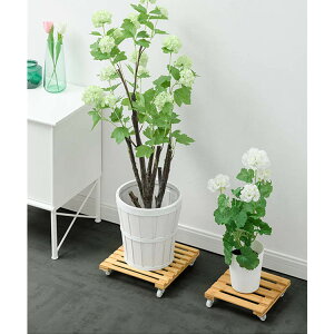 v^[X^h t[X^h LX^[t 25cm/30cm p^ ] v^[ t[bN ԑ  /O /x_ k  lC